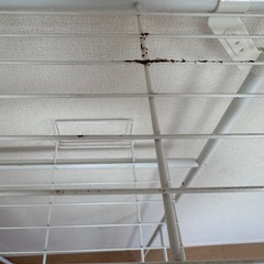 ニトリ洗濯機ラックの画像