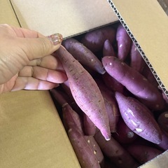 べにはるか　5kgの画像