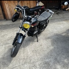 tr250格安早い物勝ちの画像