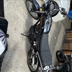 tr250格安早い物勝ちの画像