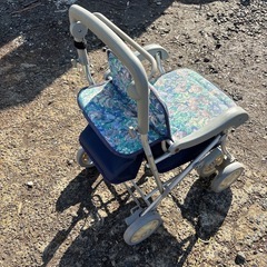 シルバーかーの画像