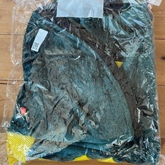 大型犬　パーカー　恐竜　コスプレの画像