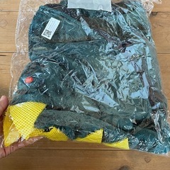 大型犬　パーカー　恐竜　コスプレの画像