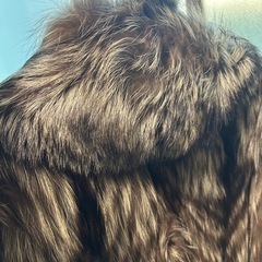 SAGA FOX 毛皮コート　　コートの画像