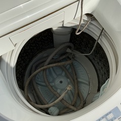 TOSHIBA 洗濯機 AW-TS75D7 (2019年製)の画像