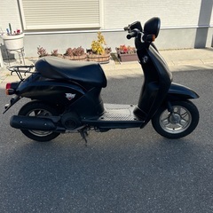 ホンダ　today トゥデイ　AF61 の画像