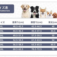 大型犬　ダウンジャケット　冬服　5XLの画像