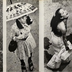 洋子(深瀬昌久)の画像