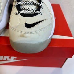 NIKE エアズームフライト95 25.5cmの画像