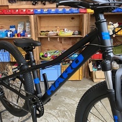 【新品】HARO BIKES FLIGHTLINE 24 MATTE BLACK 子ども車 子供用自転車 ジュニアMTBの画像