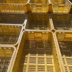 コンテナ ボックス カゴの画像