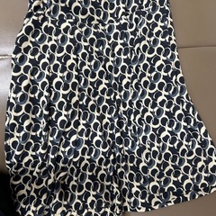 スカートの画像