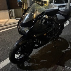 【個人】ニンジャ250R 実働の画像