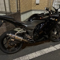 【個人】ニンジャ250R 実働の画像
