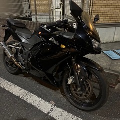 【個人】ニンジャ250R 実働の画像
