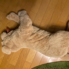 IKEA 犬のぬいぐるみの画像