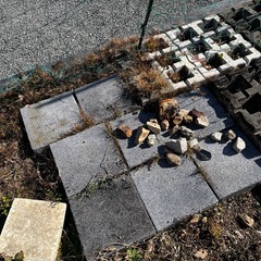 ブロックの画像