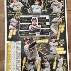 阪神タイガース非売品グッズの画像