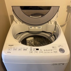 急募‼️ SHARP  洗濯機8.0kgの画像