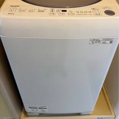 急募‼️ SHARP  洗濯機8.0kgの画像