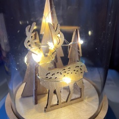 ガラスドーム☆土日限定０円☆新規の方☆の画像