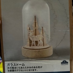 ガラスドーム☆土日限定０円☆新規の方☆の画像