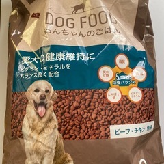 DCMわんちゃんのごはんの画像