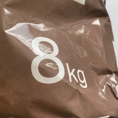 DCMわんちゃんのごはんの画像