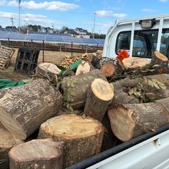 薪🪵広葉樹丸太　激安満載の画像
