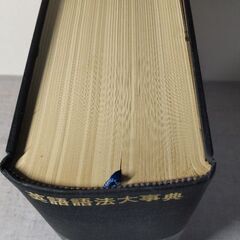 英語語法大事典の画像