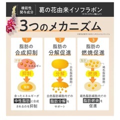 新品　プロテインの画像