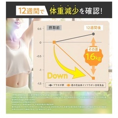 新品　プロテインの画像