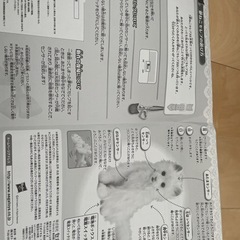 おもちゃの画像