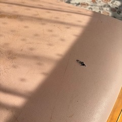 ロング椅子の画像