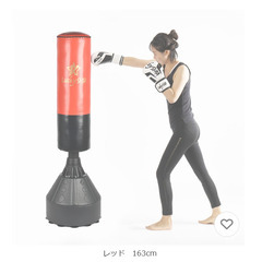 トレーニングサンドバッグ/パンチング/運動やフィットネスにの画像