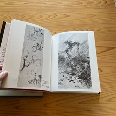  早い者勝ち♪現代美術日本全集の画像