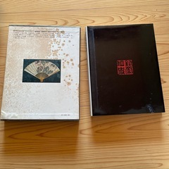  早い者勝ち♪現代美術日本全集の画像