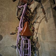 自転車　20インチの画像