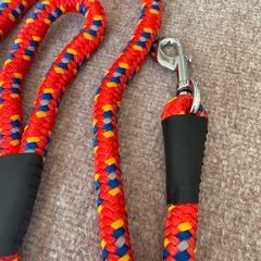 犬用リードの画像