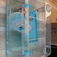 ハムスターケージ一式！大切に使っていただける方に。の画像