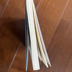 《青春新書》『「発達障害」と間違われる子どもたち』の画像