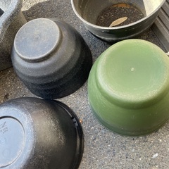 メダカ鉢の画像