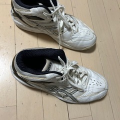 asicsバッシュの画像