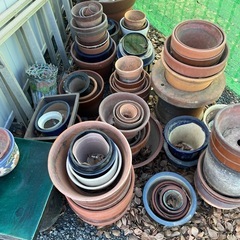 鉢などの画像