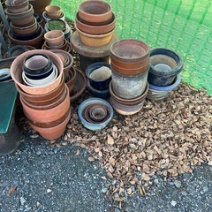 鉢などの画像