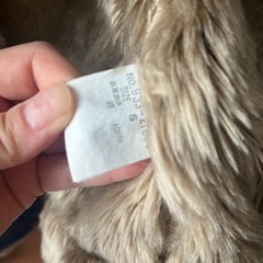 ジャケットの画像