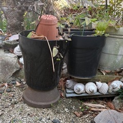 植木鉢の画像