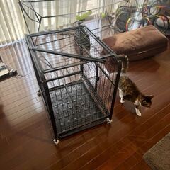 ペットケージ　猫用？　北中城お引き取り可能な方の画像