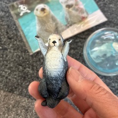 鳥羽水族館セットの画像
