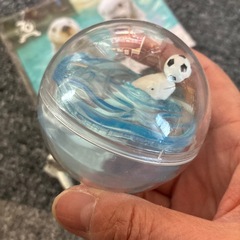 鳥羽水族館セットの画像